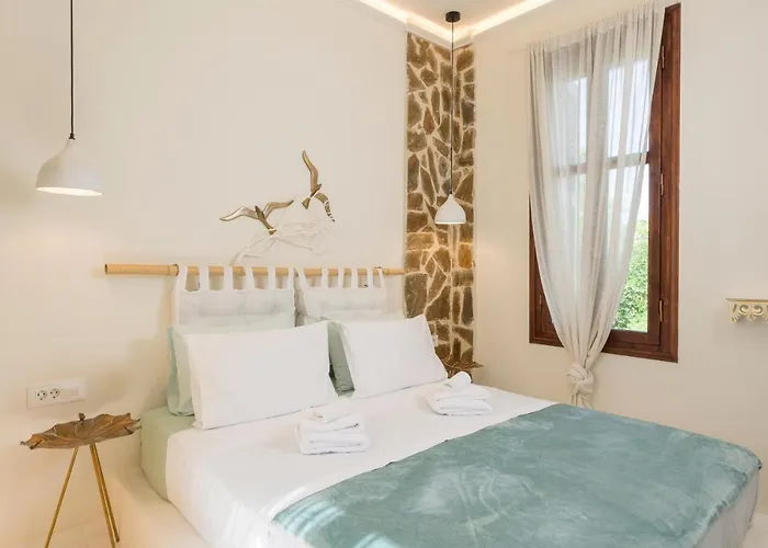 Belle Epoque Halepa's House & *