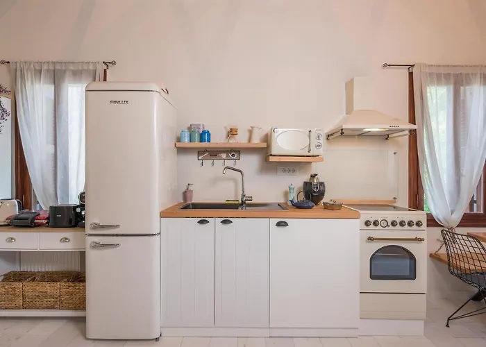 Belle Epoque Halepa's House & Dom wakacyjny *